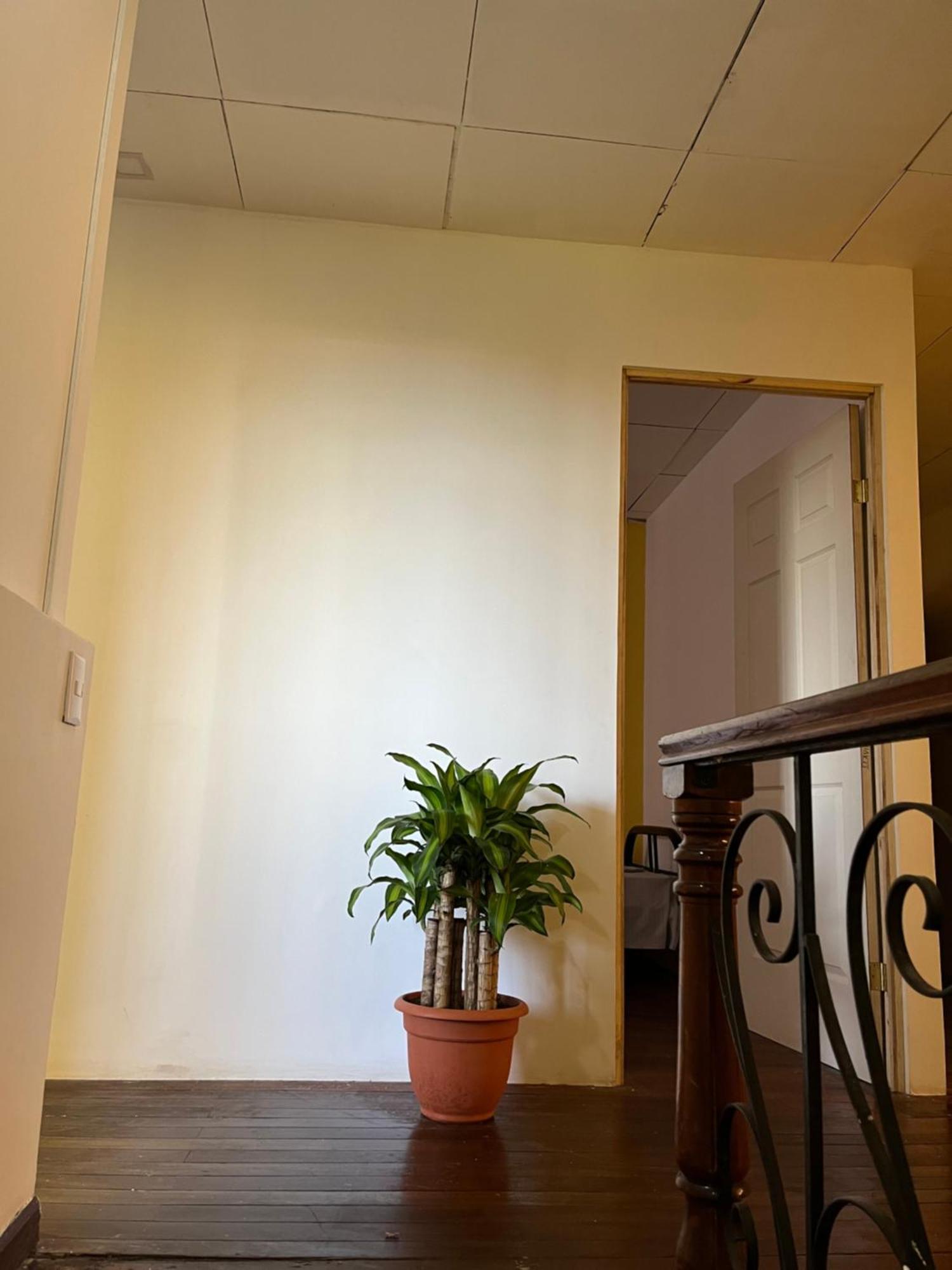 El Parque Bed And Breakfast Αλαχουέλα Εξωτερικό φωτογραφία